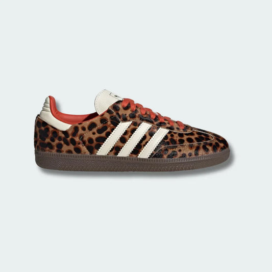 Samba LTD